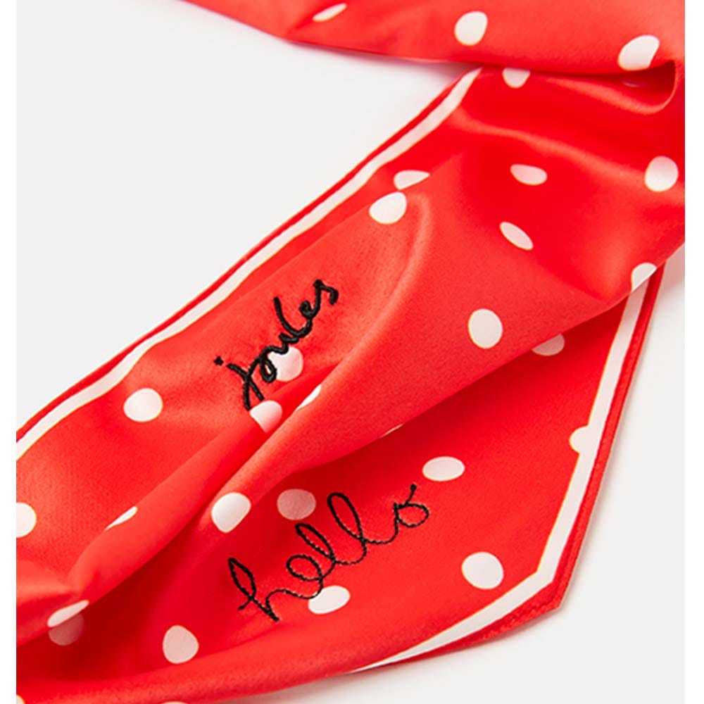 Joules Neckerchief image 16