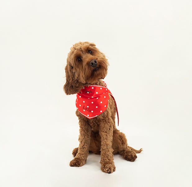 Joules Neckerchief image 17