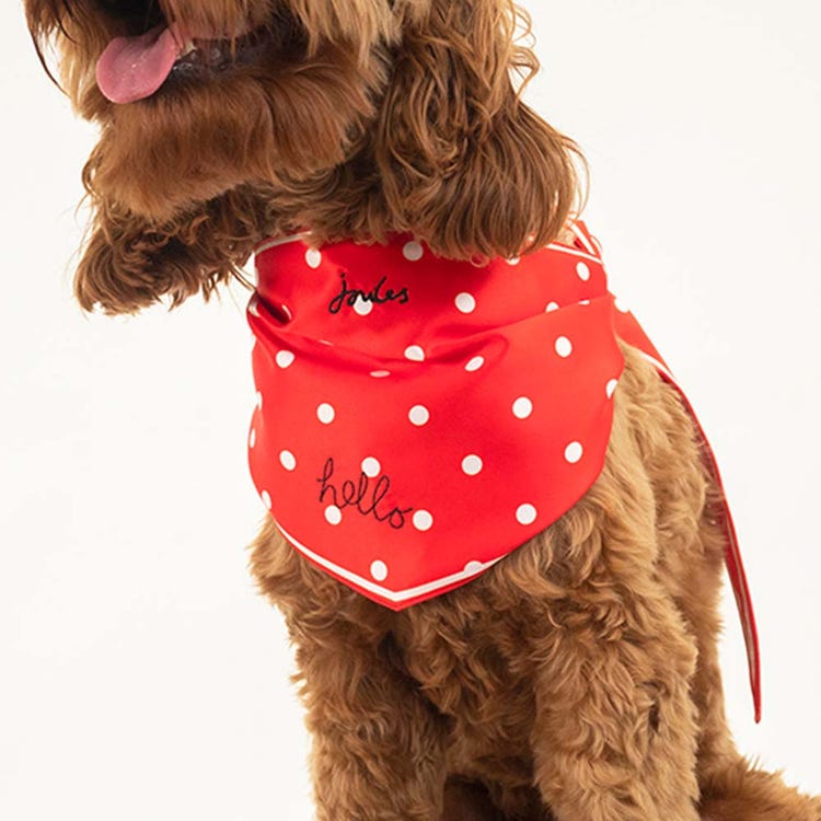 Joules Neckerchief image 18