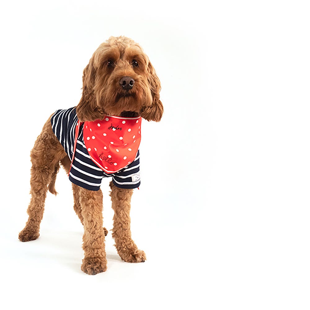 Joules Neckerchief image 19