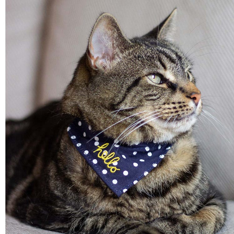 Joules Neckerchief image 9