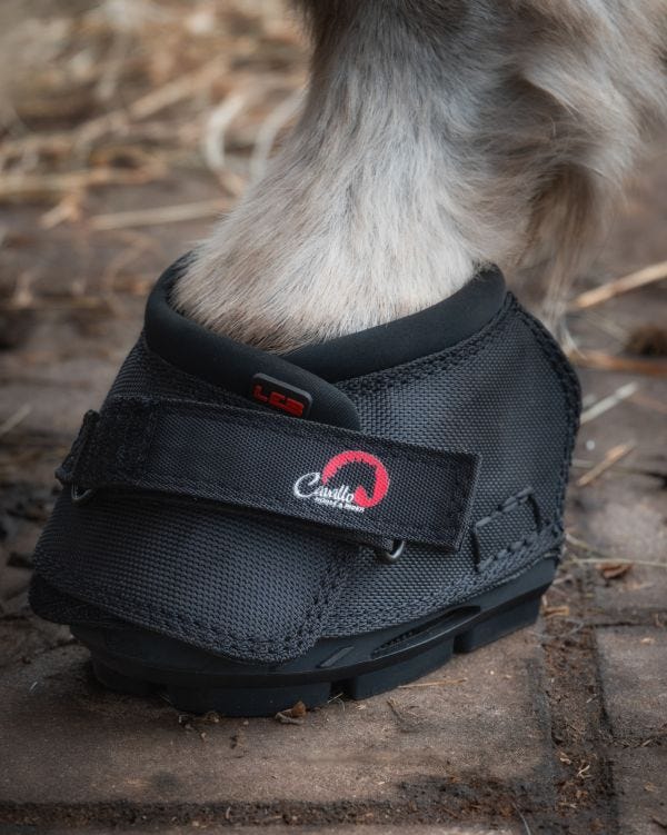 Cavallo Long Ear Boot image 1
