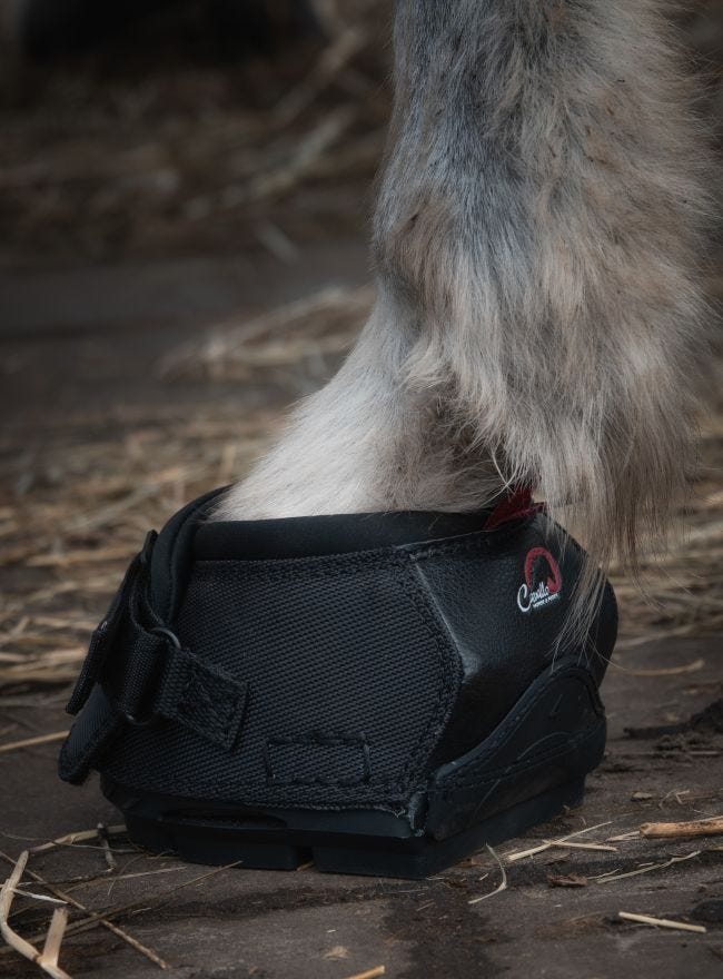 Cavallo Long Ear Boot image 2