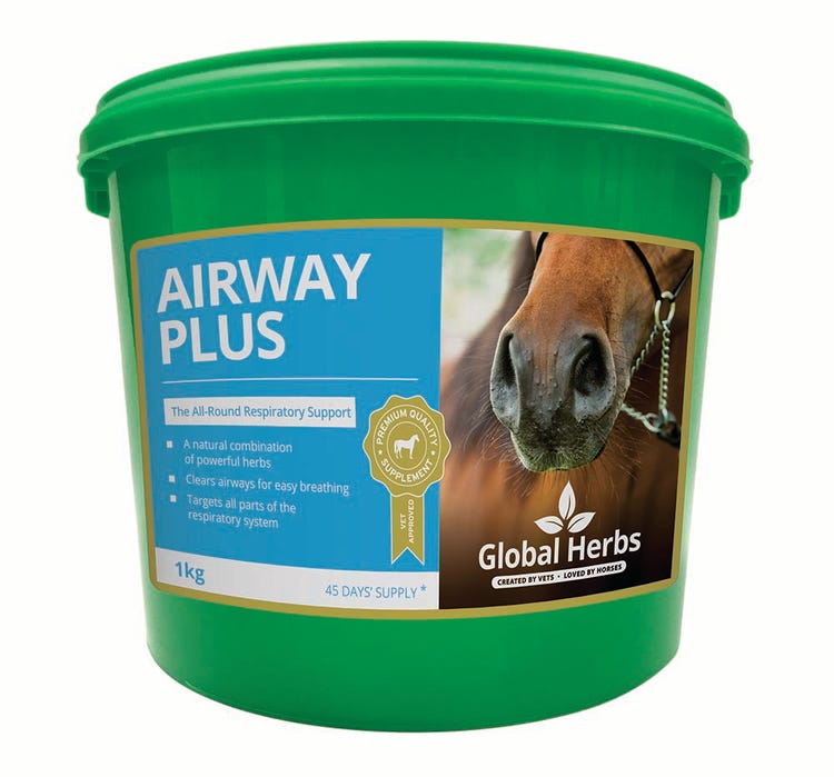 Global Herbs Airway Plus Powder image 1