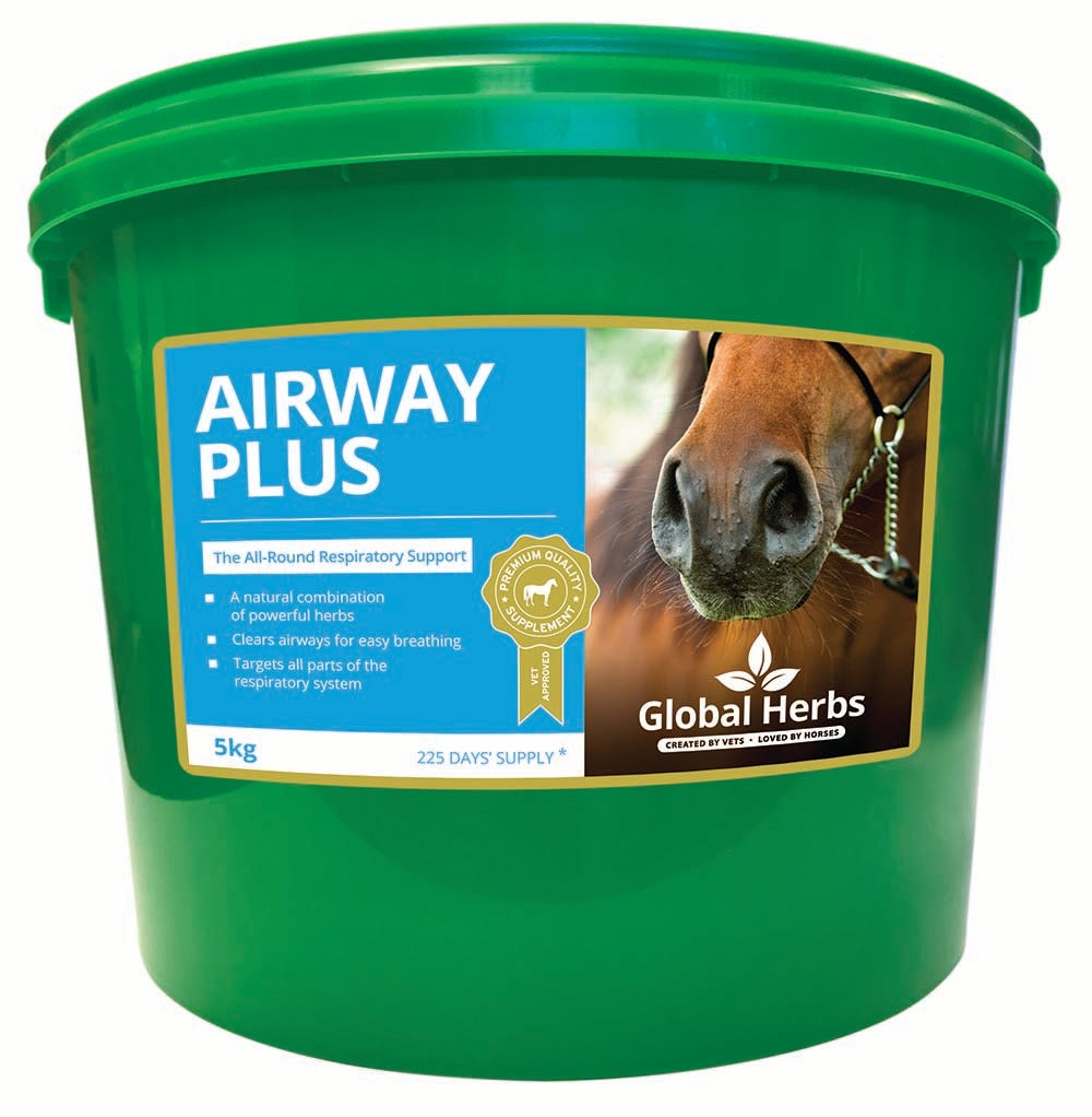 Global Herbs Airway Plus Powder image 2