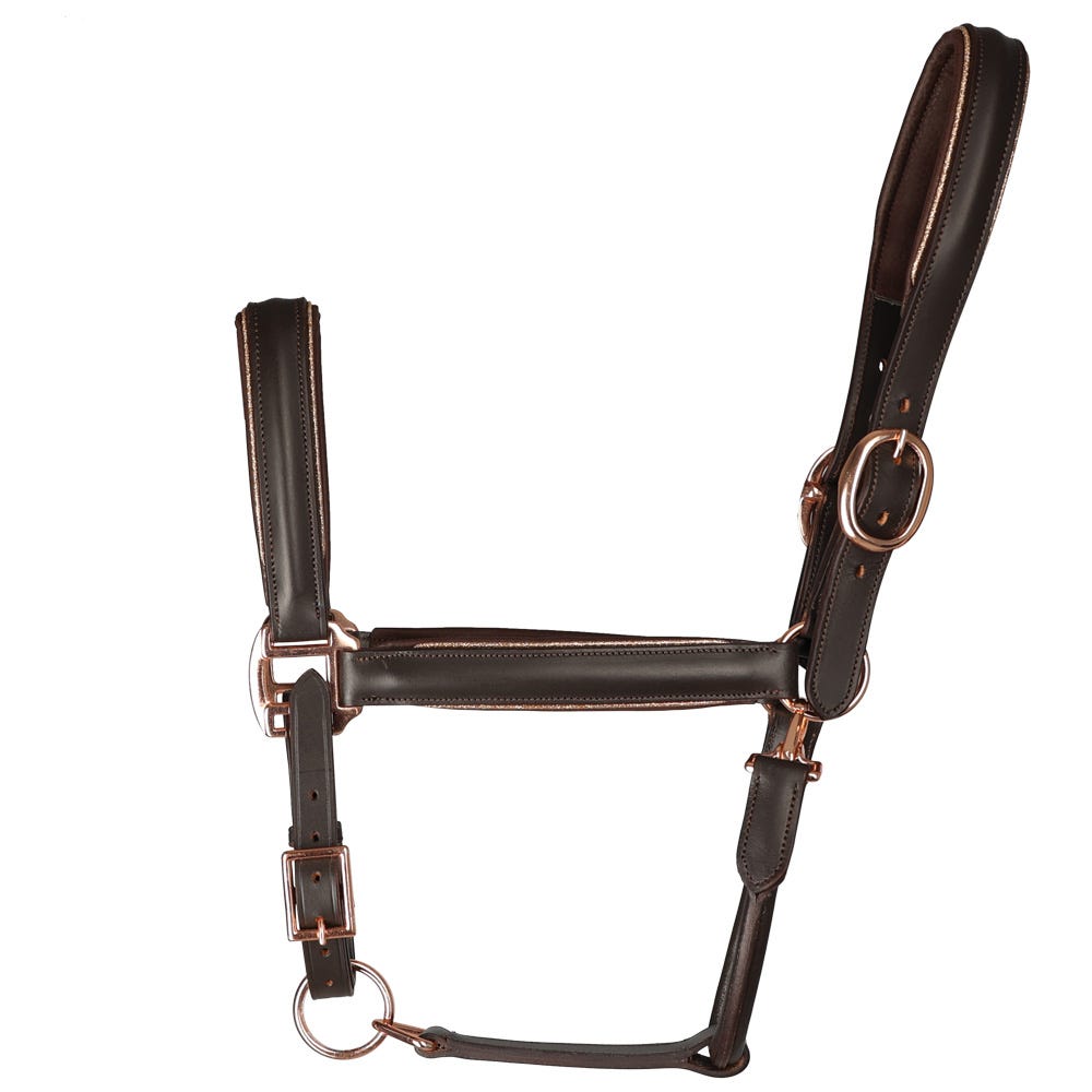 Hy Equestrian Chromatic Leather Head Collar image 1