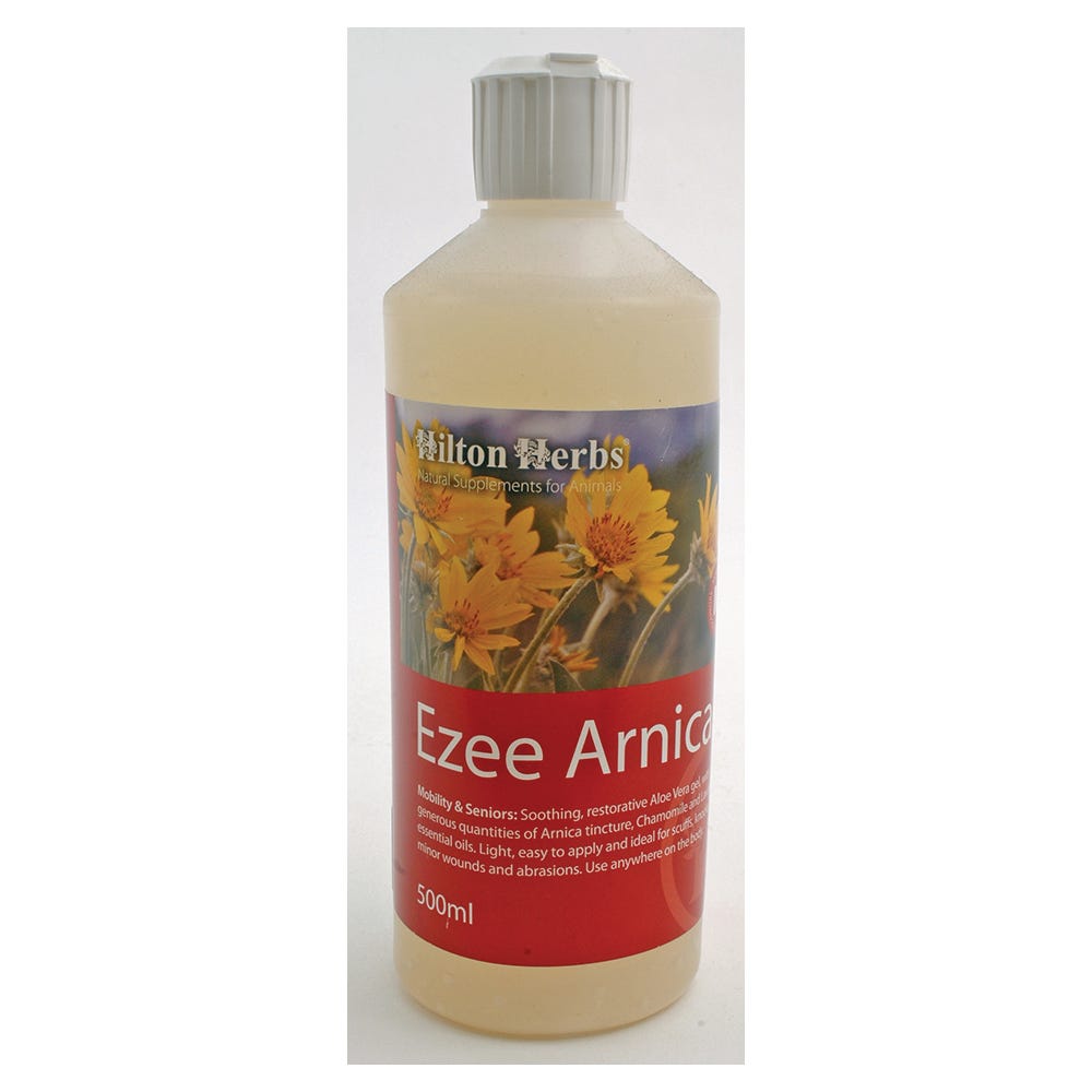 Hilton Herbs Ezee Arnica Gel image 1