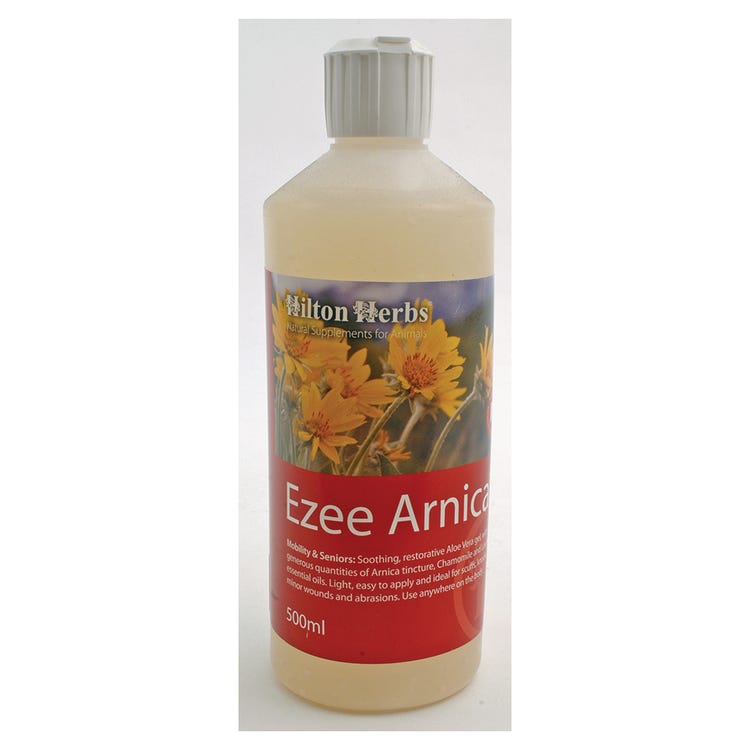 Hilton Herbs Ezee Arnica Gel image 1