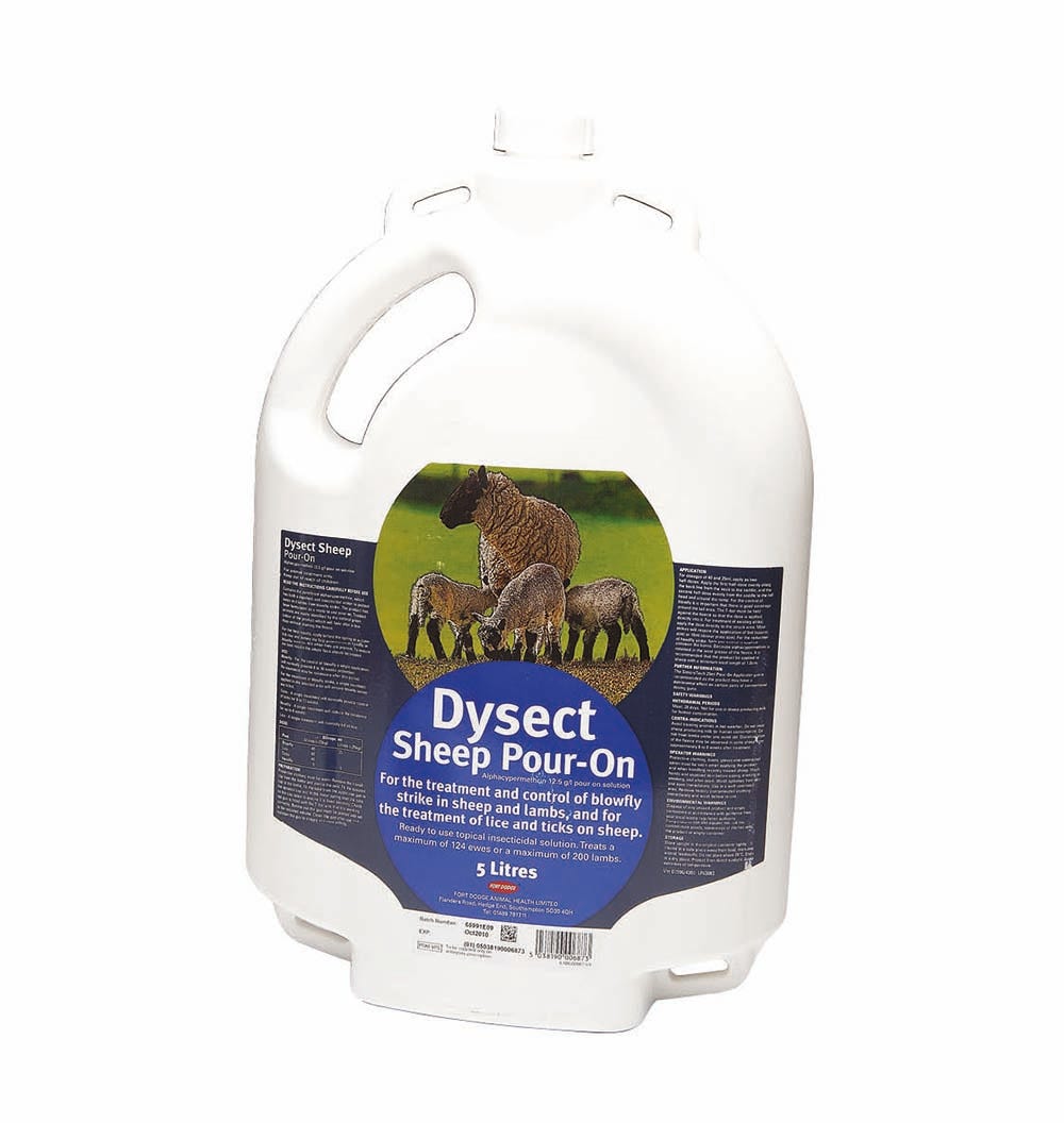 Dysect Sheep Pour-On  image 1