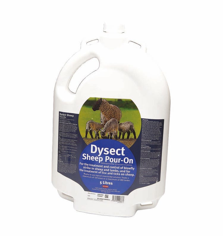 Dysect Sheep Pour-On  image 1