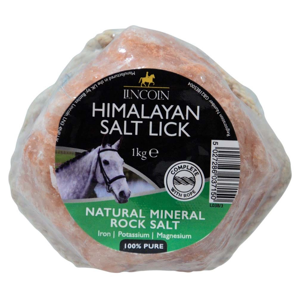 Lincoln Himalayan Salt Lick image 1