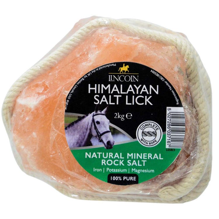 Lincoln Himalayan Salt Lick image 2