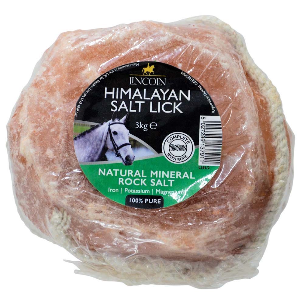 Lincoln Himalayan Salt Lick image 3