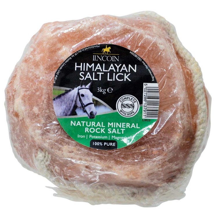 Lincoln Himalayan Salt Lick image 3