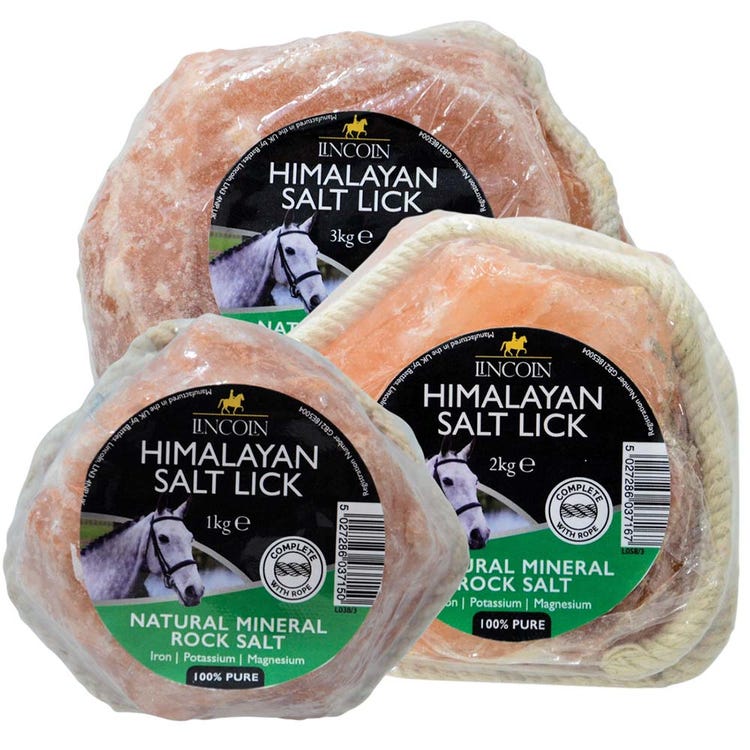 Lincoln Himalayan Salt Lick image 4