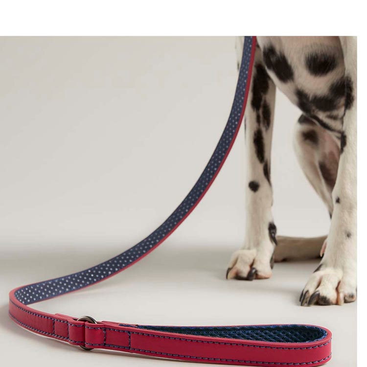 Joules Leather Dog Lead image 5