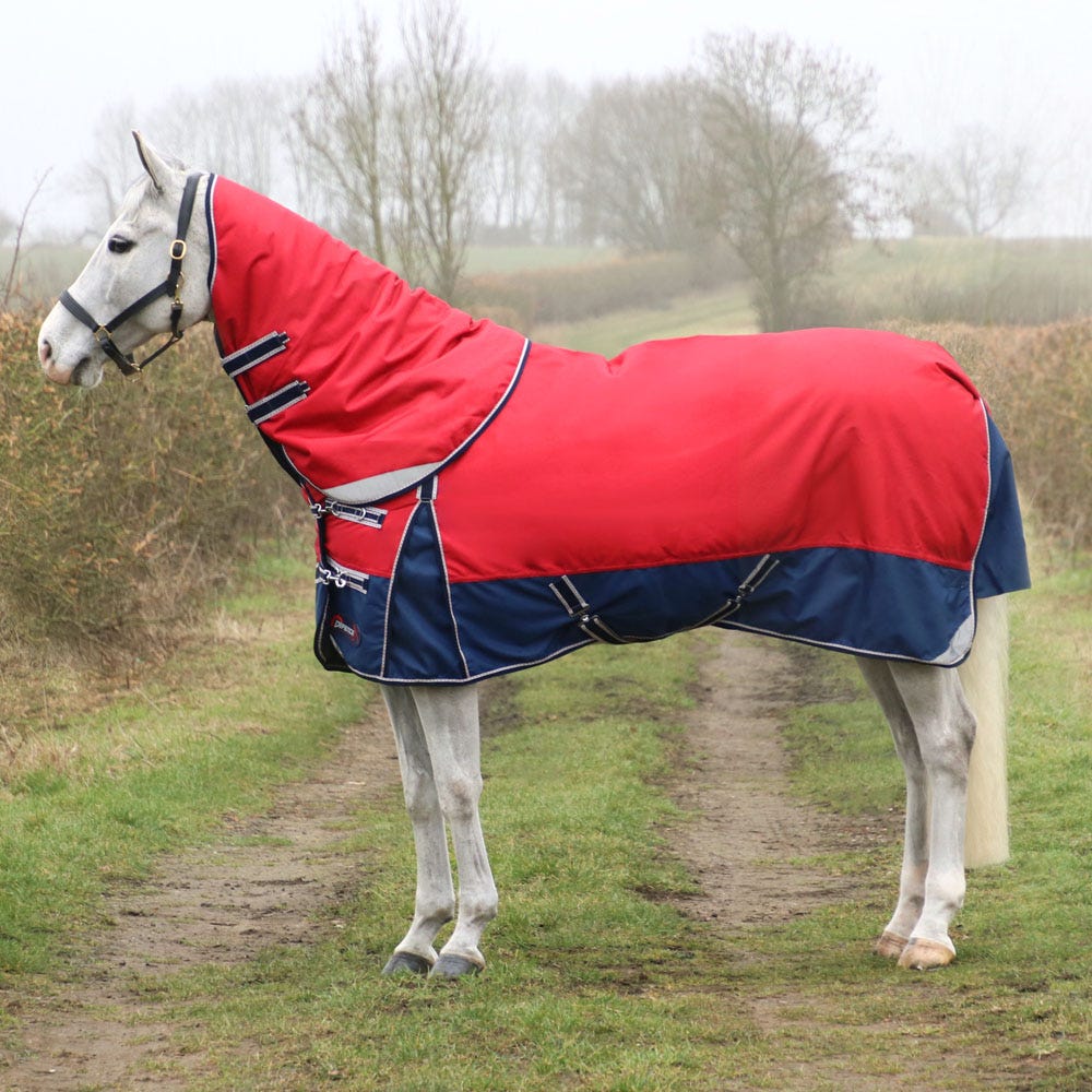 DefenceX System 200 Turnout Rug with Detachable Neck Cover image 1