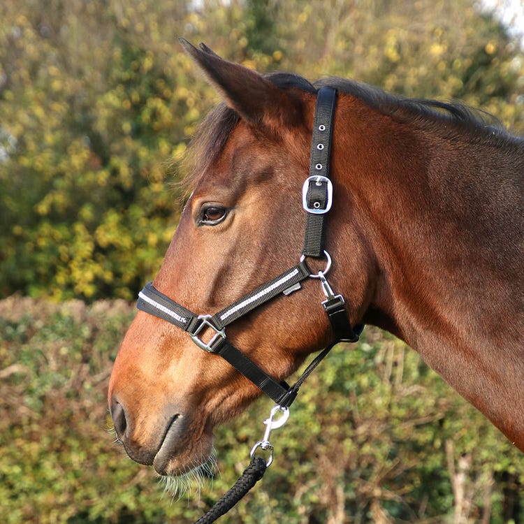 Hy Equestrian Sparkling Head Collar &amp; Lead Rope Set image 4