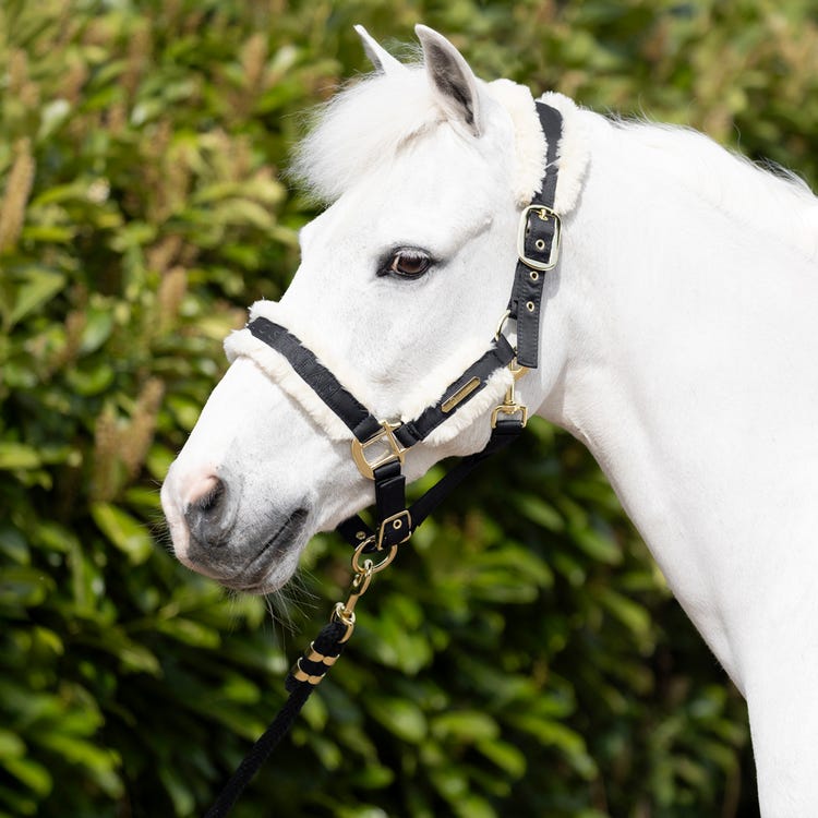 Coldstream Langlee Luxury Head Collar &amp; Lead Rope image 4