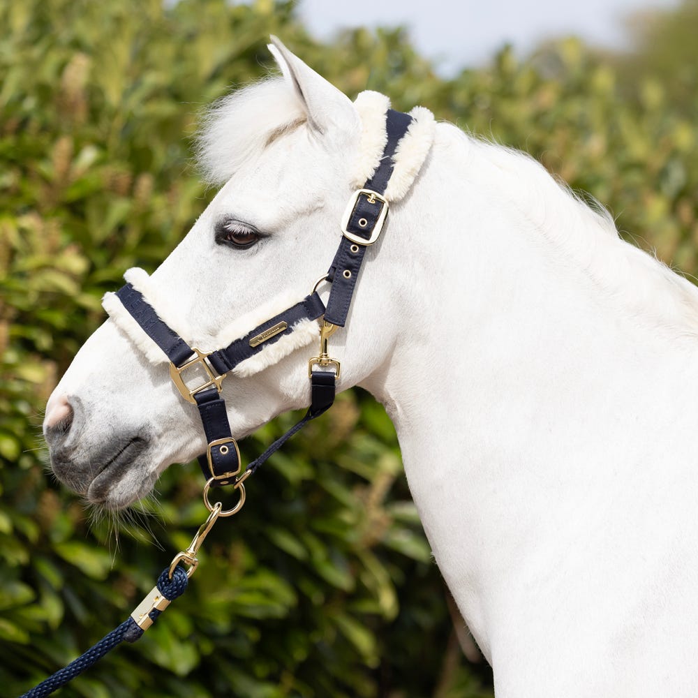 Coldstream Langlee Luxury Head Collar &amp; Lead Rope image 5