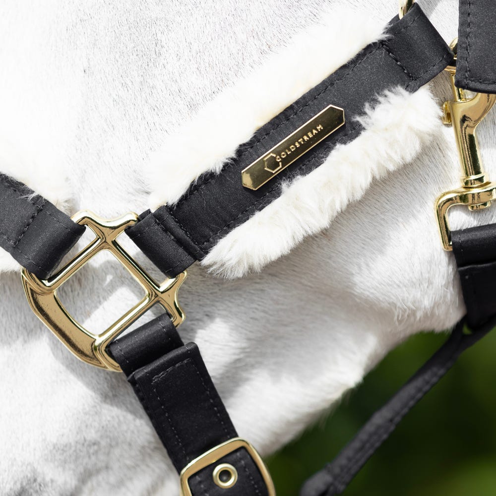 Coldstream Langlee Luxury Head Collar &amp; Lead Rope image 6