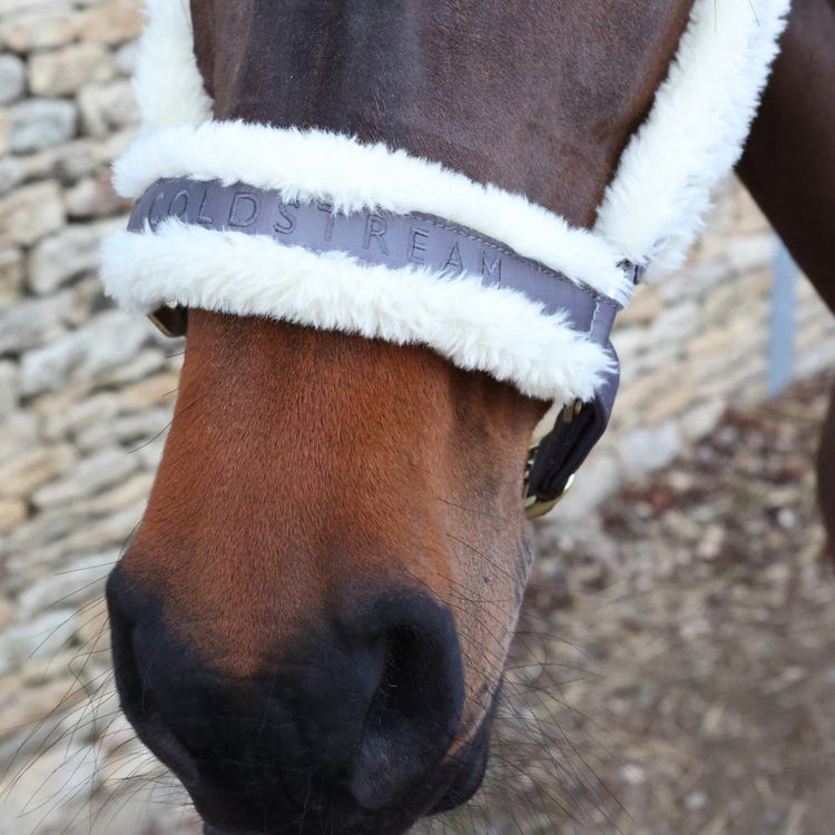 Coldstream Langlee Luxury Head Collar &amp; Lead Rope image 9