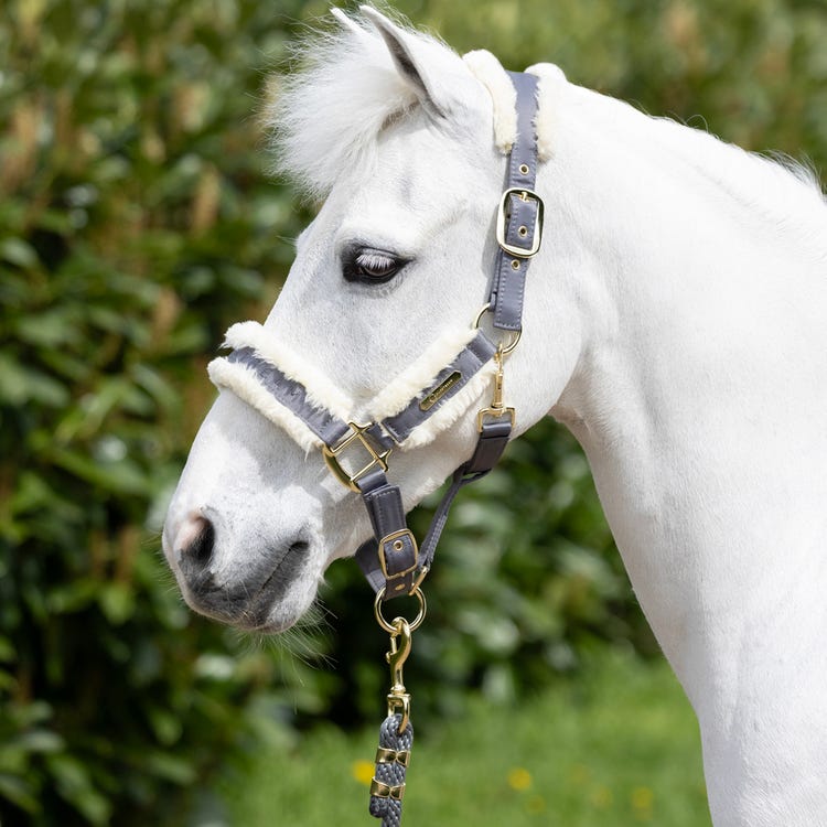 Coldstream Langlee Luxury Head Collar &amp; Lead Rope image 7