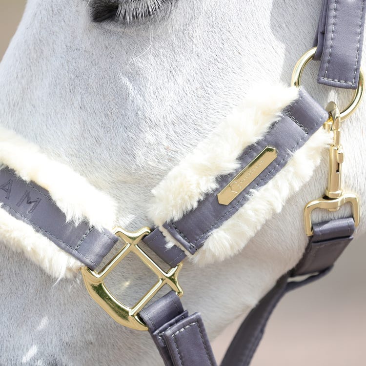 Coldstream Langlee Luxury Head Collar &amp; Lead Rope image 8