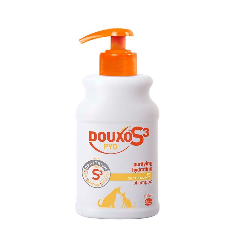 Douxo S3 PYO Shampoo image 1