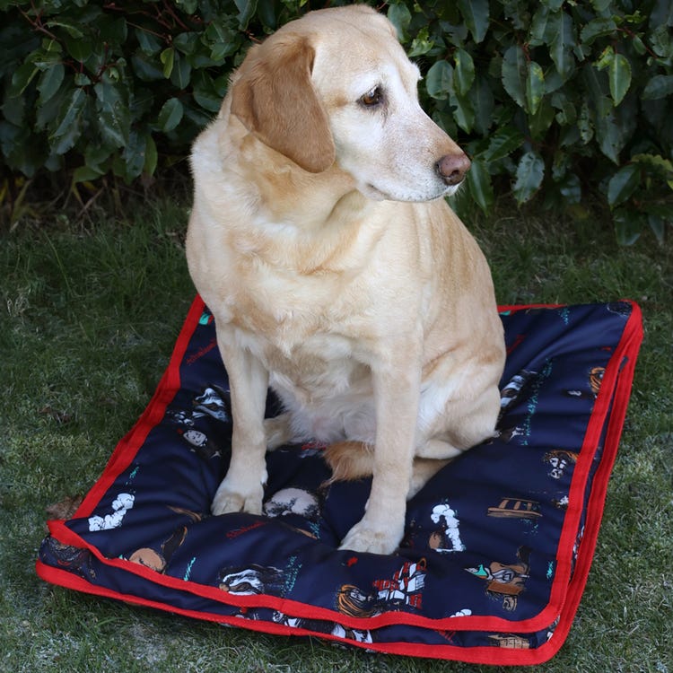 Benji &amp; Flo Thelwell Collection Practice Makes Perfect Dog Bed image 1