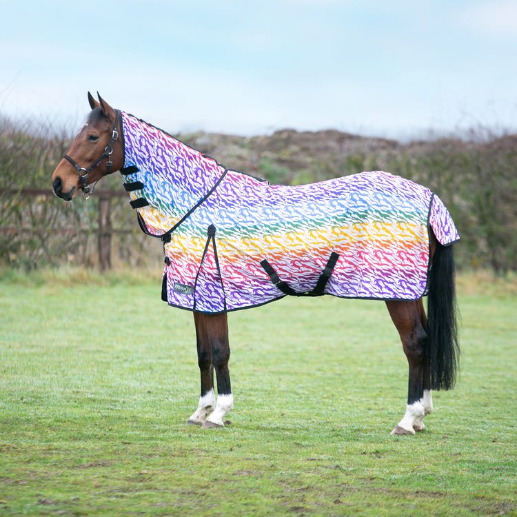 StormX Original Zebra Rainbow Print Fly Rug image 1