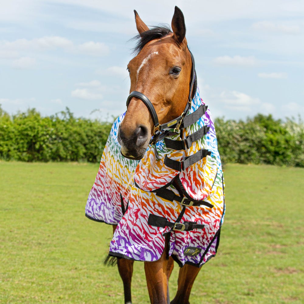 StormX Original Zebra Rainbow Print Fly Rug image 4