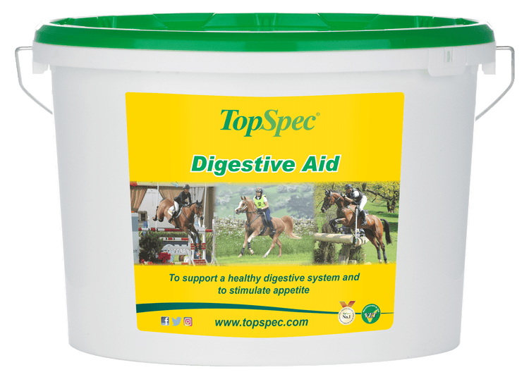 TopSpec Digestive Aid image 2