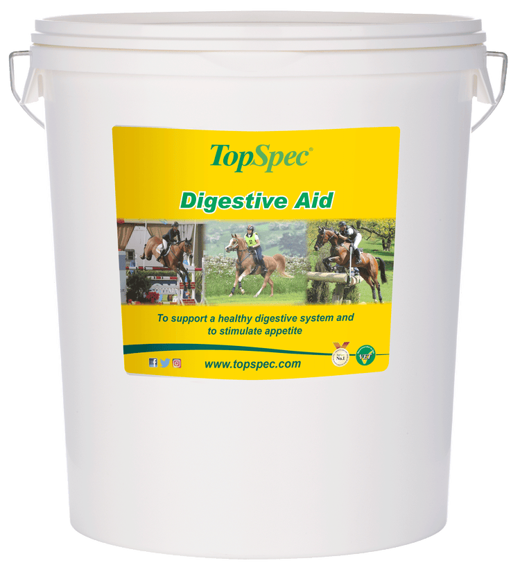 TopSpec Digestive Aid image 3