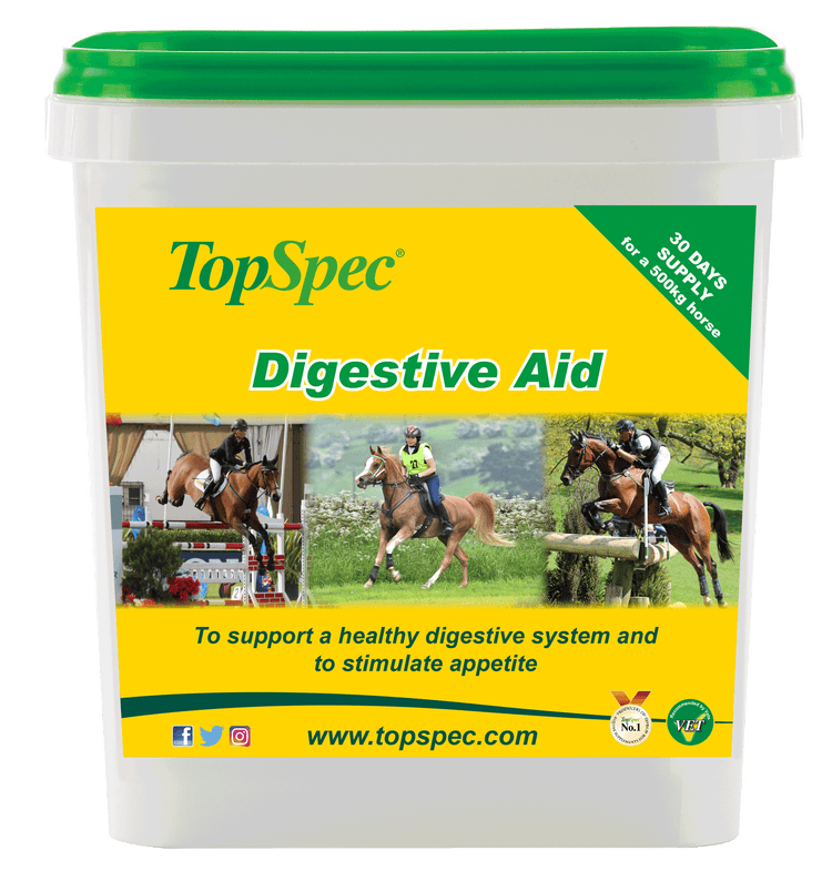 TopSpec Digestive Aid image 1