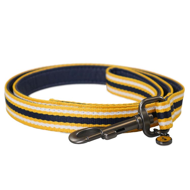 Joules Coastal Dog Lead image 1