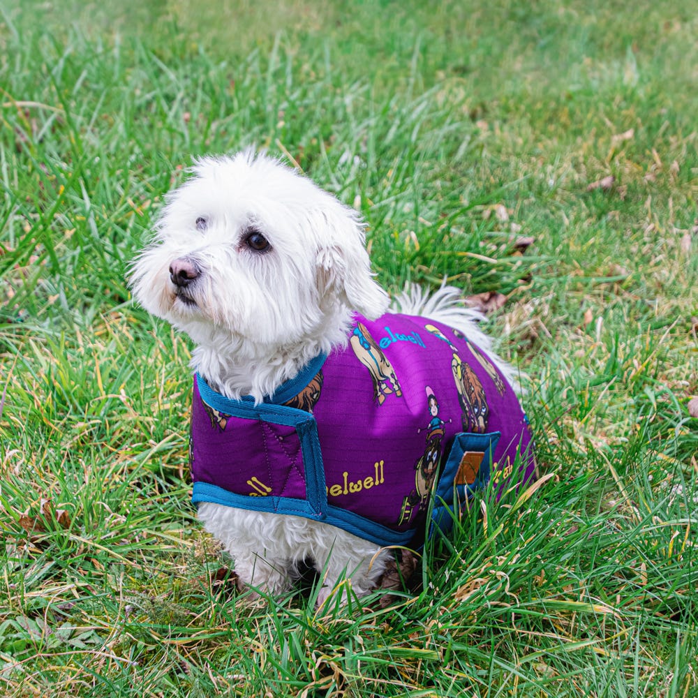 Benji &amp; Flo Thelwell Collection Pony Friends Dog Coat image 2