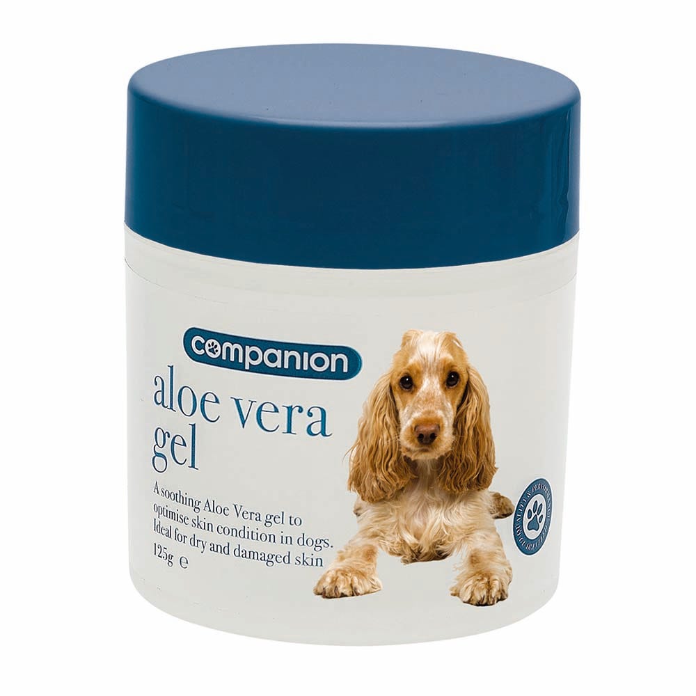 Companion Aloe Vera Gel image 1