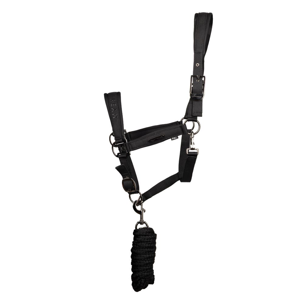 Coldstream Paxton Padded Head Collar &amp; Lead Rope image 1