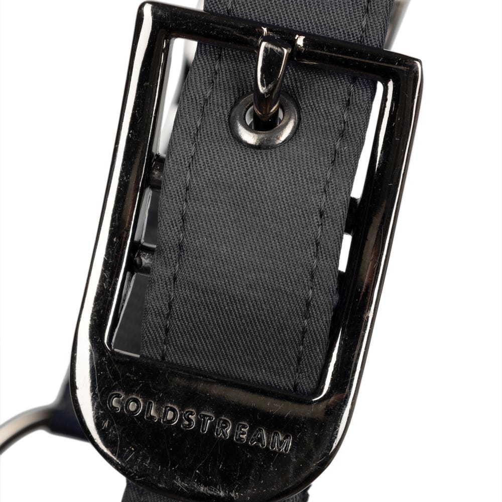 Coldstream Paxton Padded Head Collar &amp; Lead Rope image 2