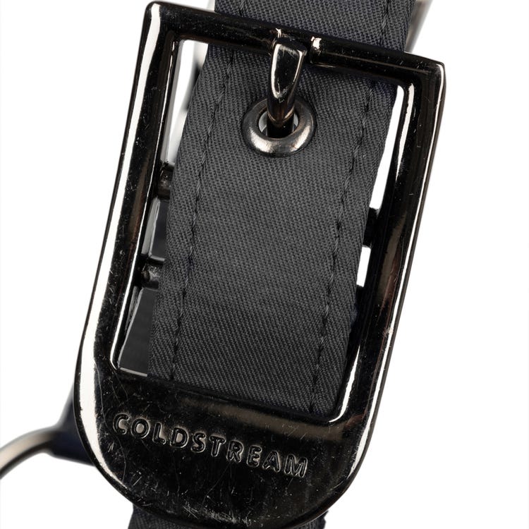 Coldstream Paxton Padded Head Collar &amp; Lead Rope image 2