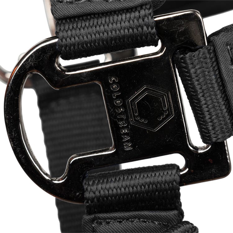 Coldstream Paxton Padded Head Collar &amp; Lead Rope image 6