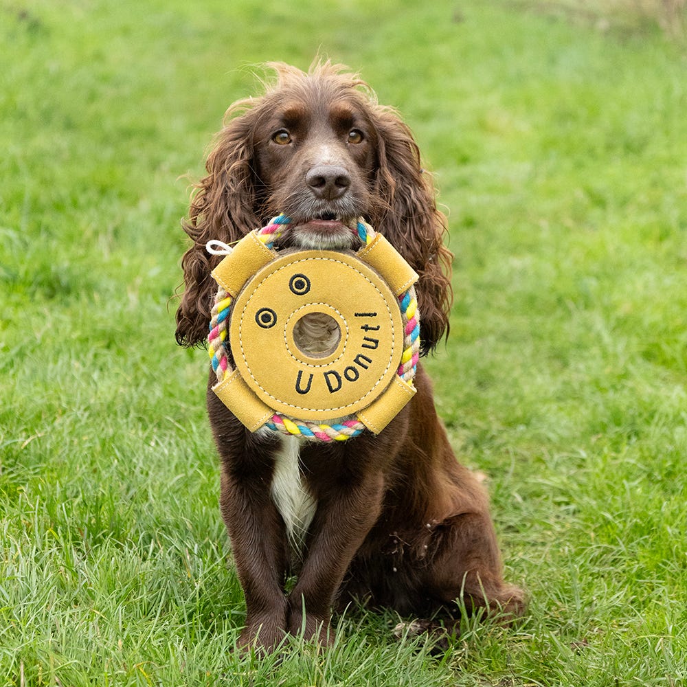 Benji &amp; Flo Crazy Faces Dog Toys - U Donut! image 1