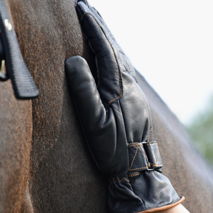 Hy Equestrian Thinsulate™ Leather Winter Riding Gloves image 2