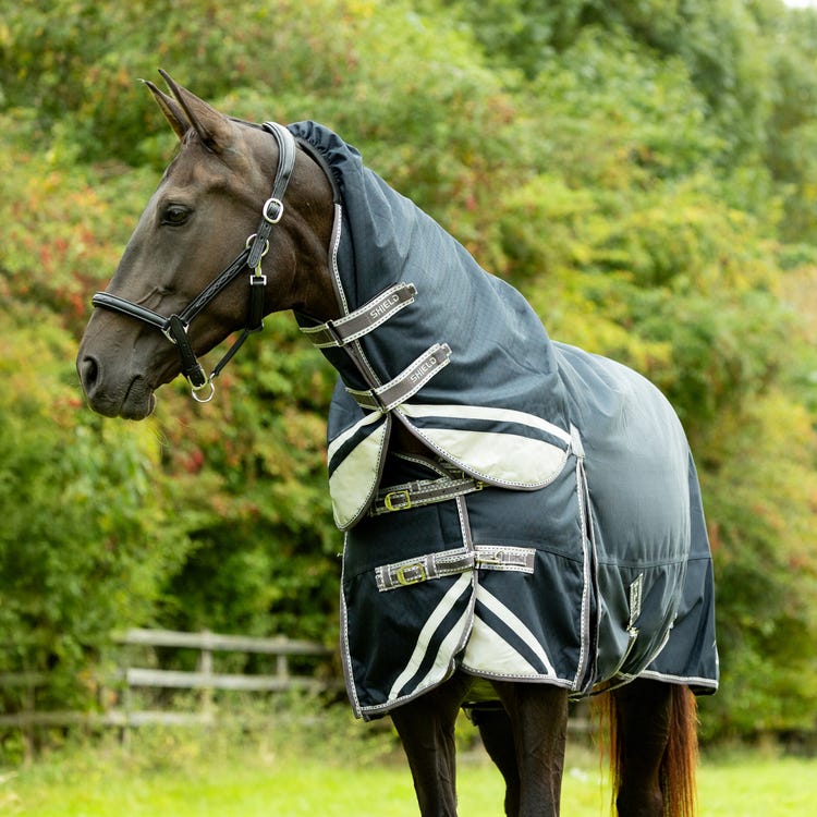 DefenceX Shield 200g Turnout Rug with Detachable Neck image 2