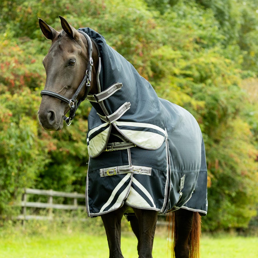 DefenceX Shield 200g Turnout Rug with Detachable Neck image 1