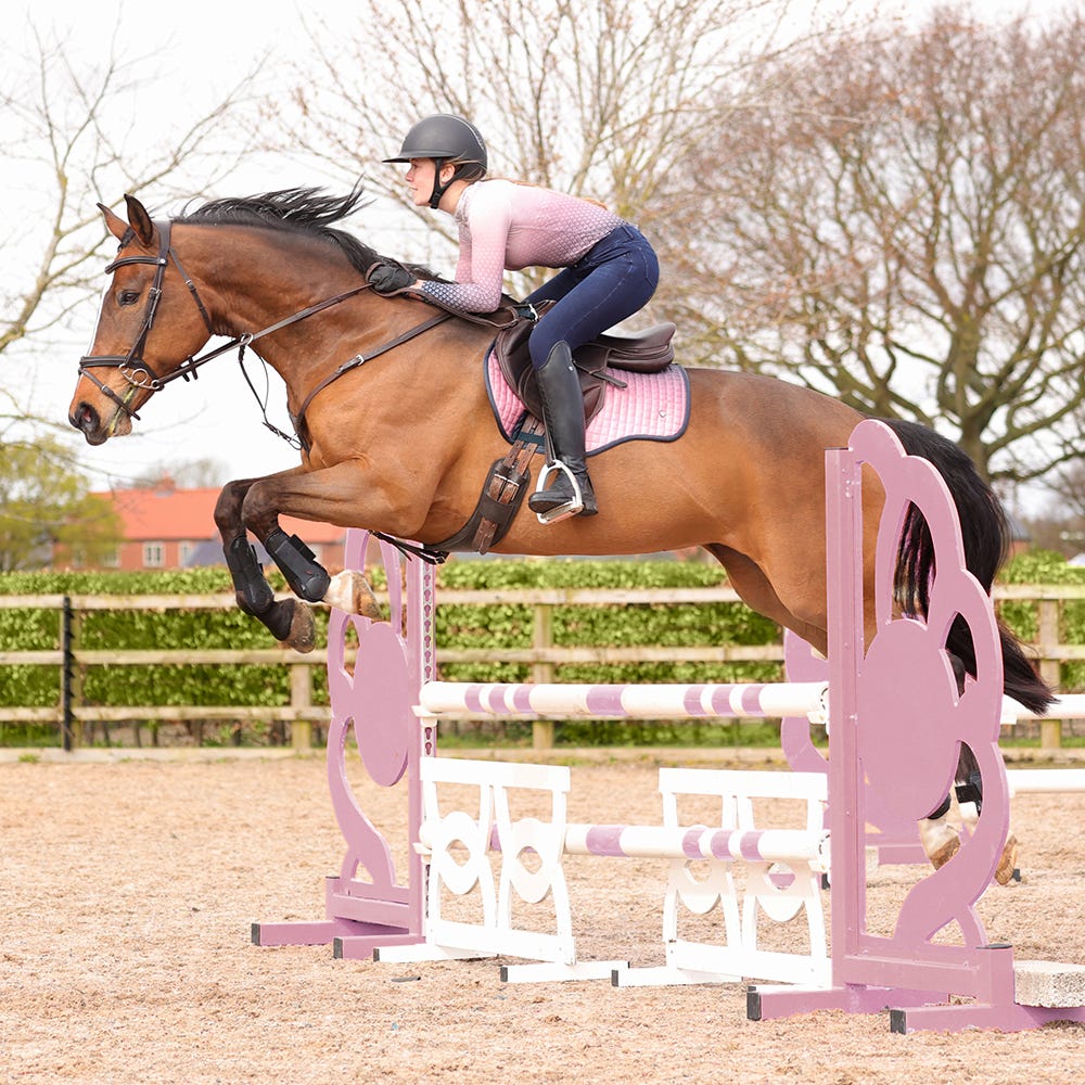 Hy Equestrian Elevate Saddle Pad image 4