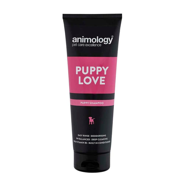 Animology Puppy Love Shampoo image 1