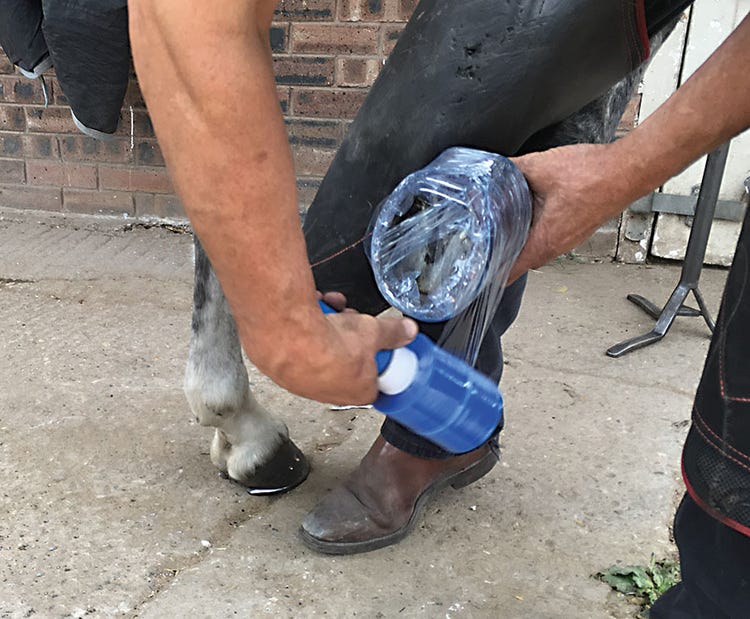 Farrier Cling image 2