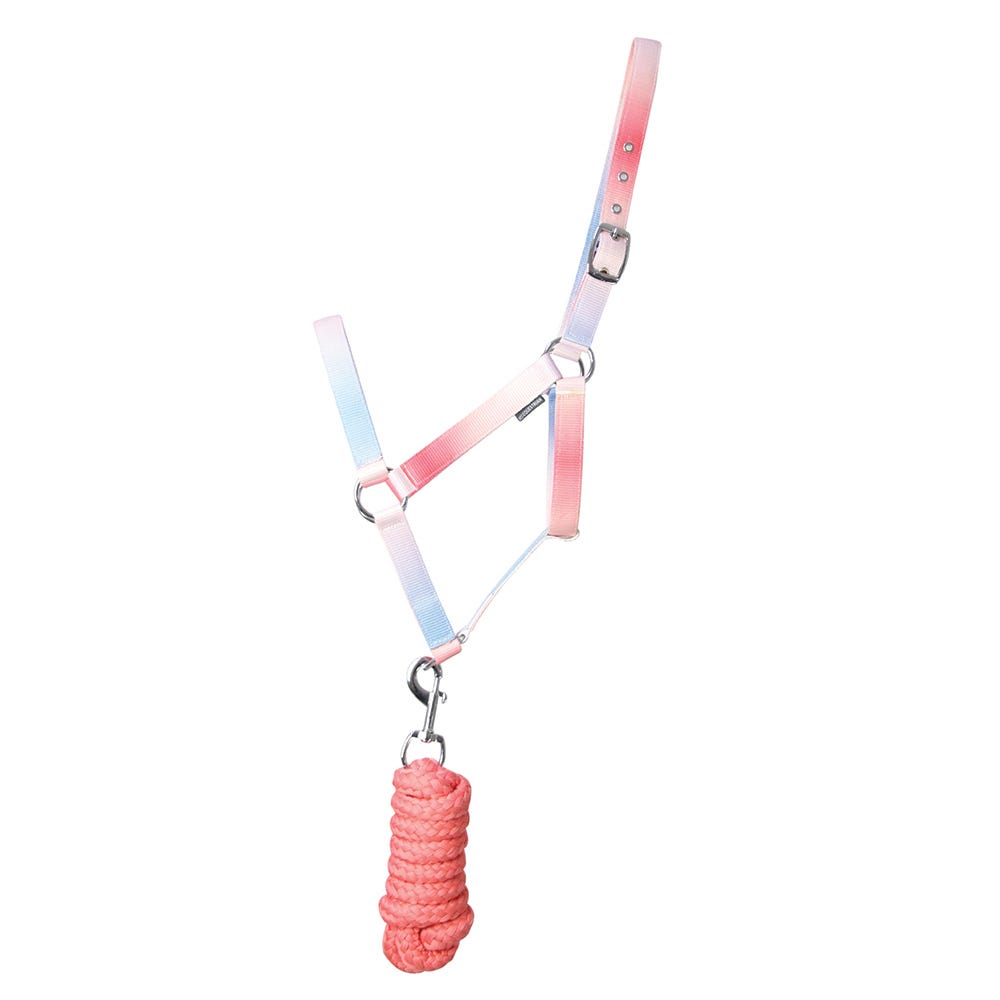 Hy Equestrian Ombre Head Collar &amp; Lead Rope image 3